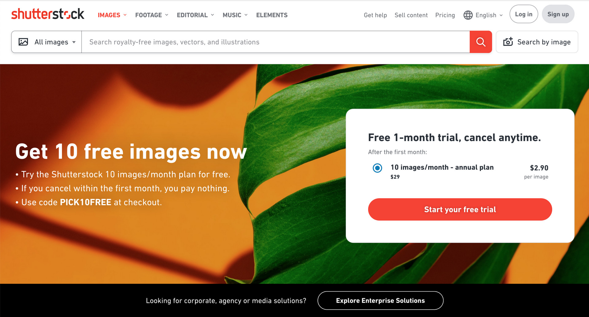 Shutterstock website