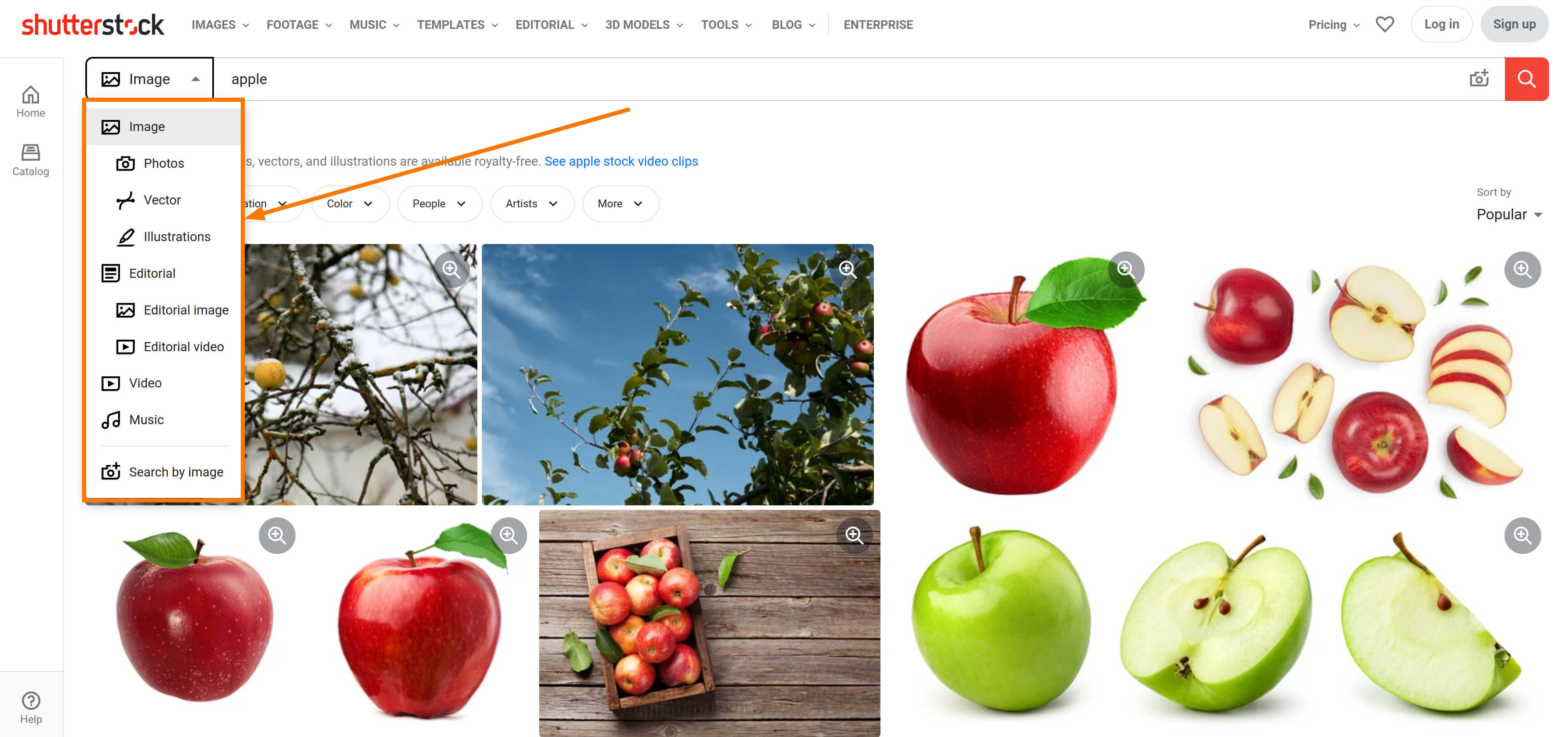 Shutterstock apple search