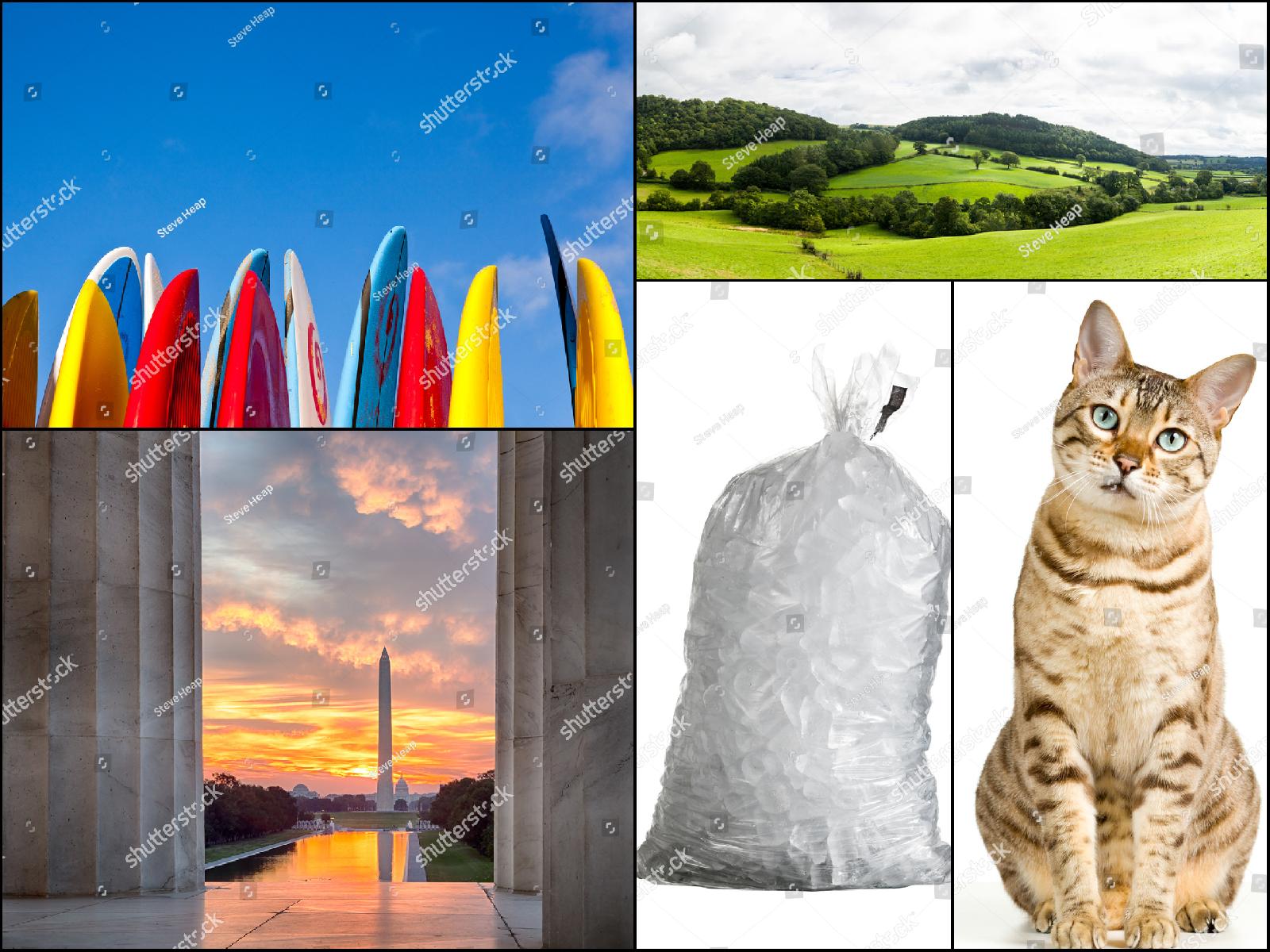 23,500+ Top Selling Stock Photos, Pictures & Royalty-Free Images