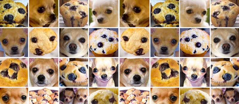 Muffin or not